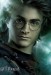 harry_potter_and_the_goblet_of_fire_ver17[1].jpg