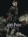 harry_potter_and_the_goblet_of_fire_ver2[1].jpg